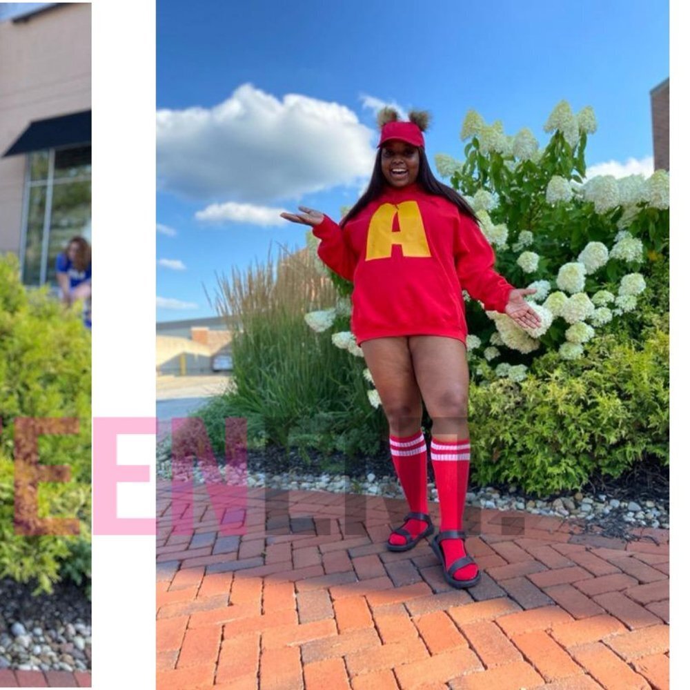 Alvin Chipmunk Handmade Halloween Costume Adult - Picture 2 of 5